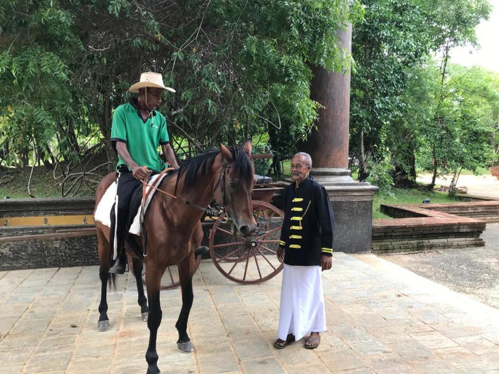 Aswadduma Hotel Dambulla Extérieur photo
