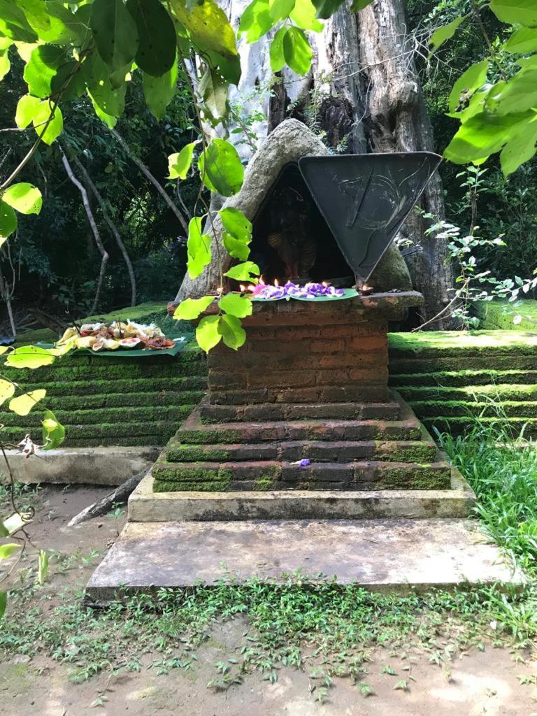 Aswadduma Hotel Dambulla Extérieur photo